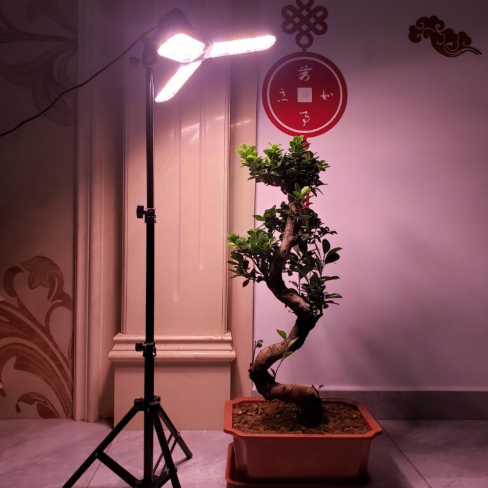 Glühbirnenständer 2M, E27 AC-S – Photography Lighting With Umbrella Bewertung und Preis