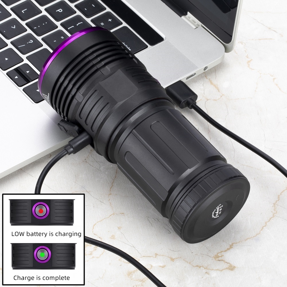 80w 365nm UV-Taschenlampe Ultr – Photography Lighting For Food Bewertung und Preis