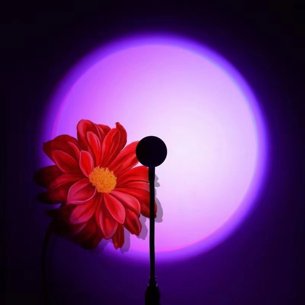 LED RGB Sonnenuntergang-Projek – Photography Lighting Mood Bewertung und Preis